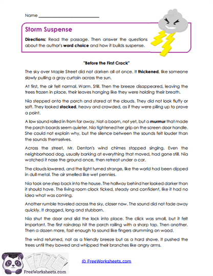 Storm Suspense Worksheet