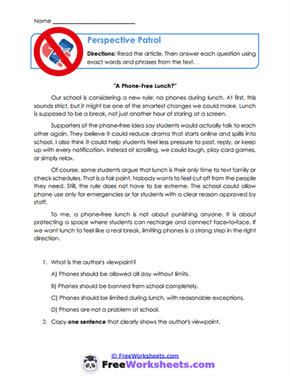 Perspective Patrol Worksheet