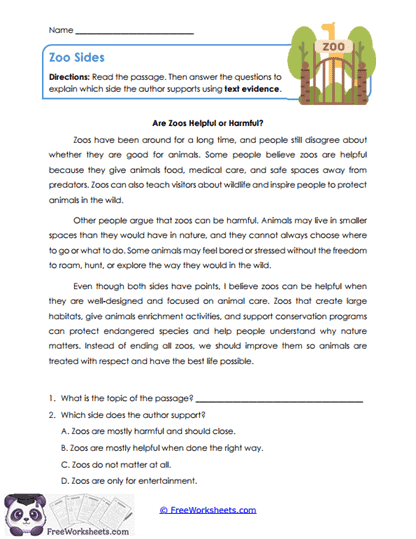 Zoo Sides Worksheet