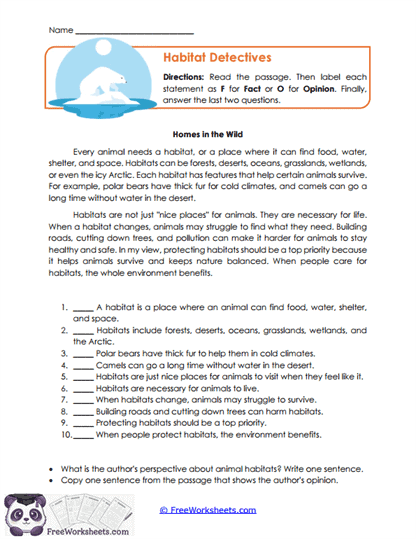 Author's Perspective Worksheet Collection