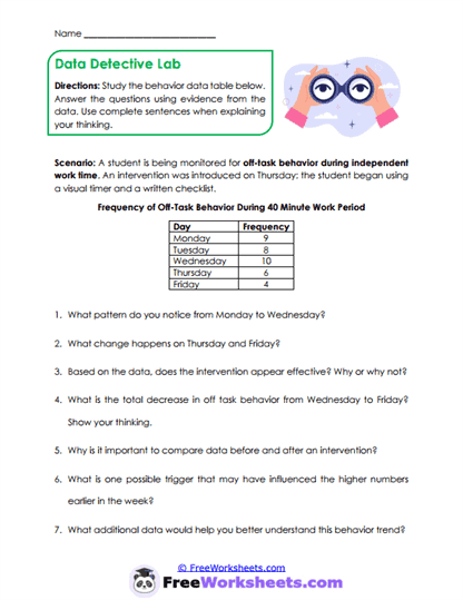 Data Detective Worksheet