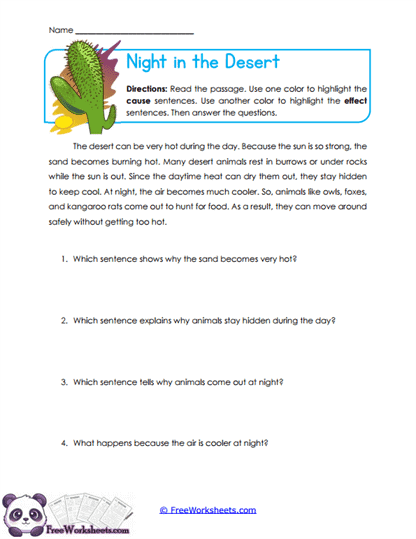 Night in the Desert Worksheet