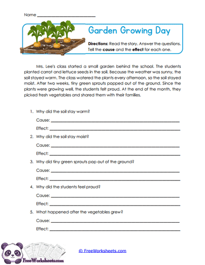 Garden Growing Day Worksheet