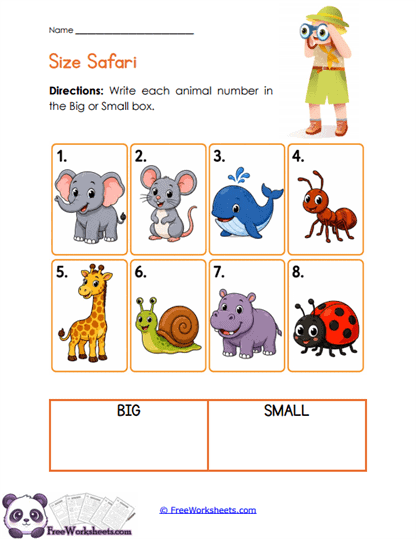 Size Groups Worksheet