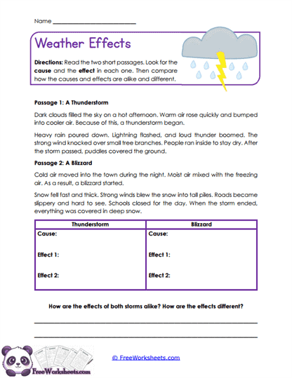 Weather Effects Worksheet