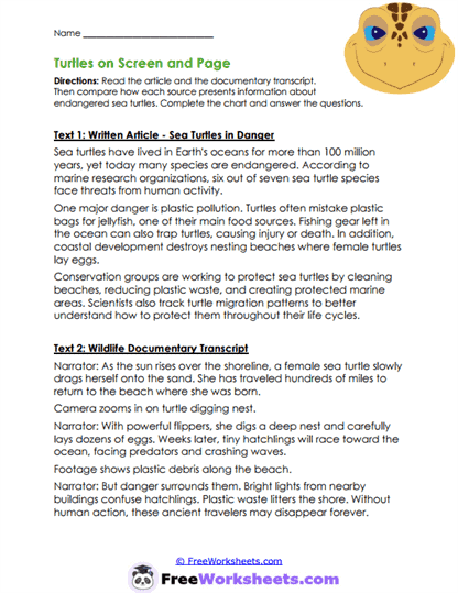 Turtle Formats Worksheet