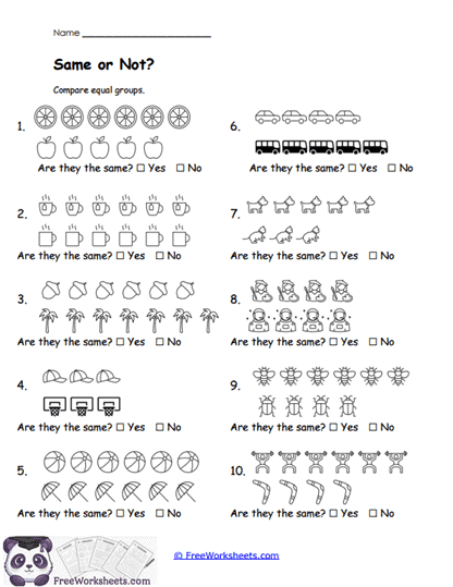 Same or Not? Worksheet