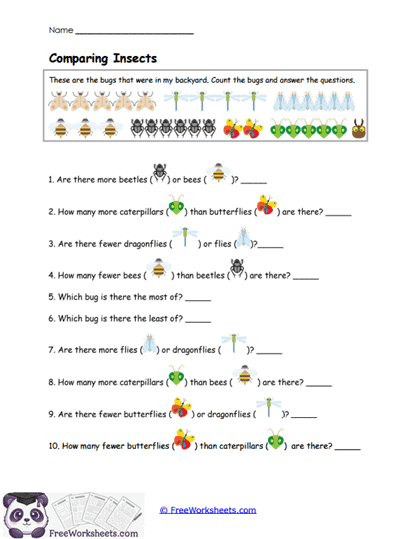 Comparing Insects Worksheet