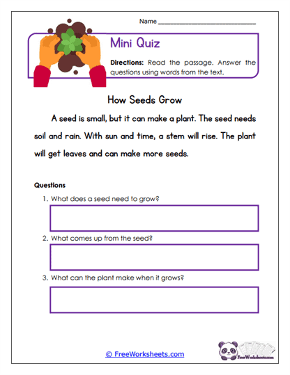 How Seeds Grow Worksheet