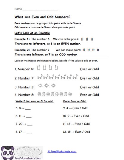 What Are They? Worksheet
