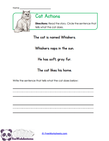 Cat Actions Worksheet