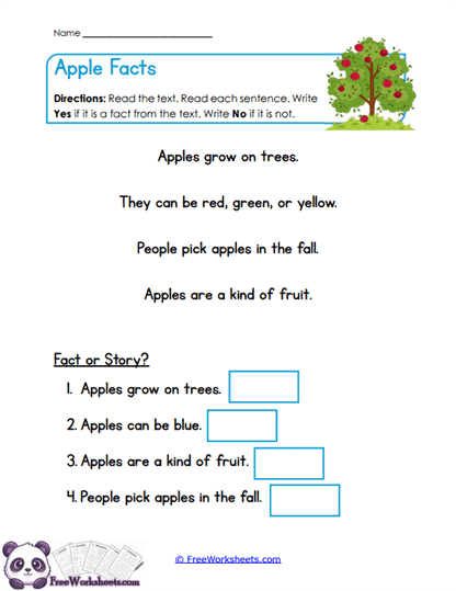 Grade 1 Reading Comprehension Worksheet Collection