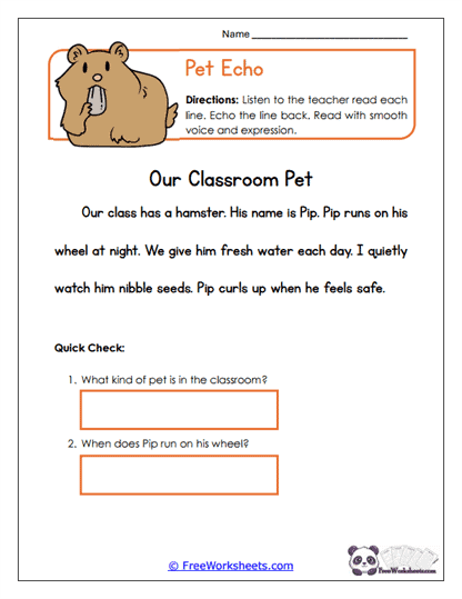 Pet Echo Worksheet