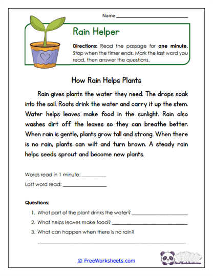 Grade 2 Fluency Practice Worksheet Collection