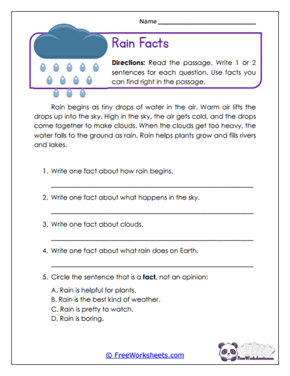 Rain Facts Worksheet