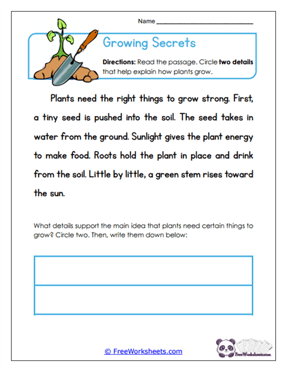 Growing Secrets Worksheet