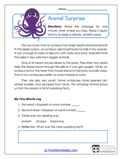 Animal Surprise Worksheet