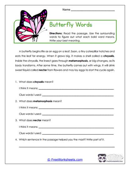 Butterfly Words Worksheet