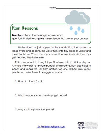 Rain Reasons Worksheet