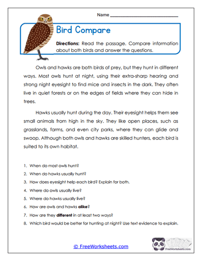 Bird Compare Worksheet