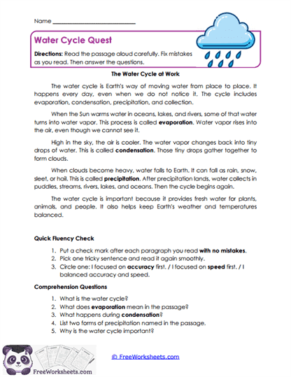 Water Cycle Quest Worksheet