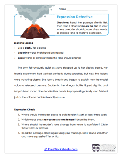 Expression Detective Worksheet