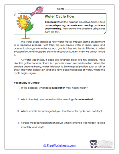 Water Cycle Flow Worksheet