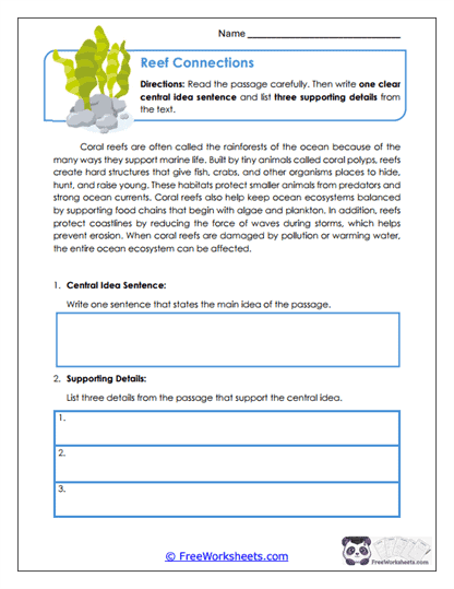 Reef Connections Worksheet