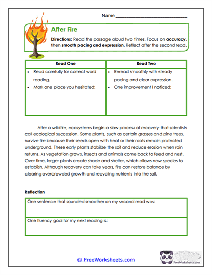 After Fire Worksheet