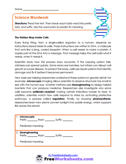 Science Wordwork Worksheet