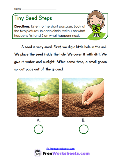 Seed Sprouts Worksheet