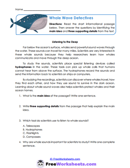 Whale Wave Detectives Worksheet