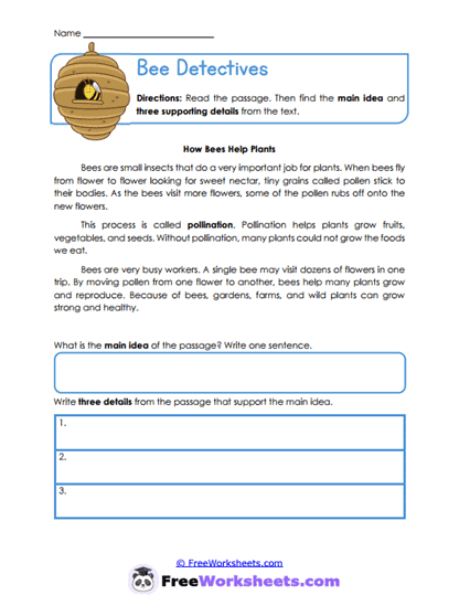 Pollination Partners Worksheet