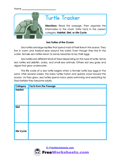 Information Sort Worksheet