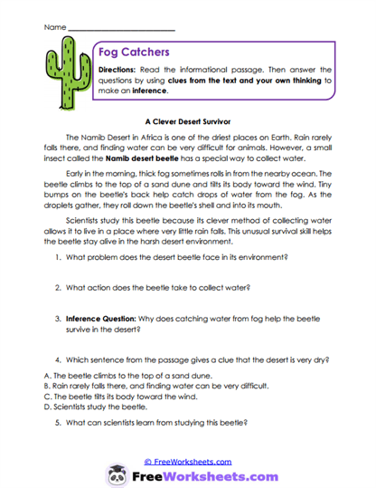 Fog Catchers Worksheet