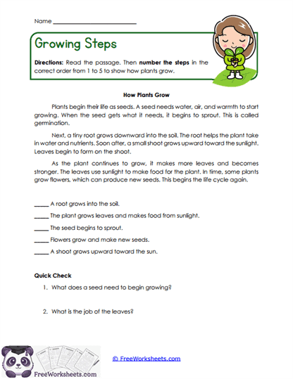 Growing Steps Worksheet