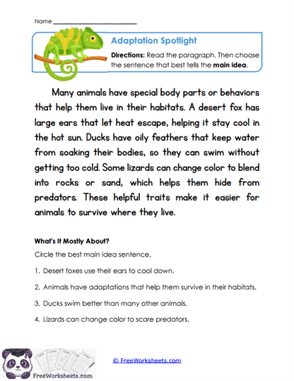 Grade 4 Main Idea Worksheet Collection