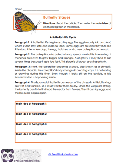 Butterfly Stages Worksheet