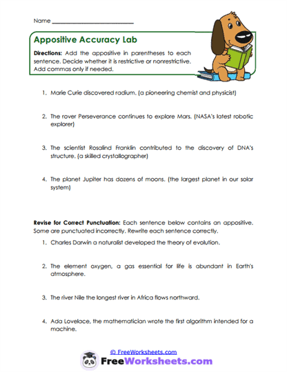 Appositive Precision Worksheet