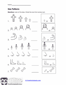 Size Patterns Worksheet - FreeWorksheets.Com