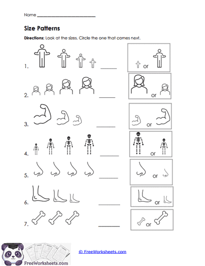 Size Patterns Worksheet