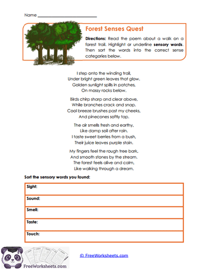 Sensory Sorting Worksheet