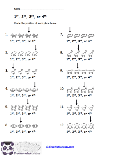 1st, 2nd, 3rd, or 4th Worksheet
