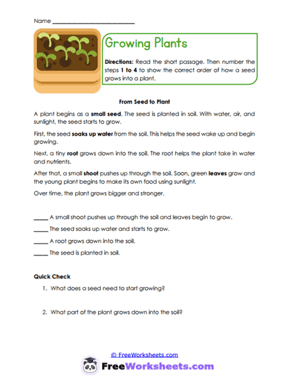 Growing Plants Worksheet