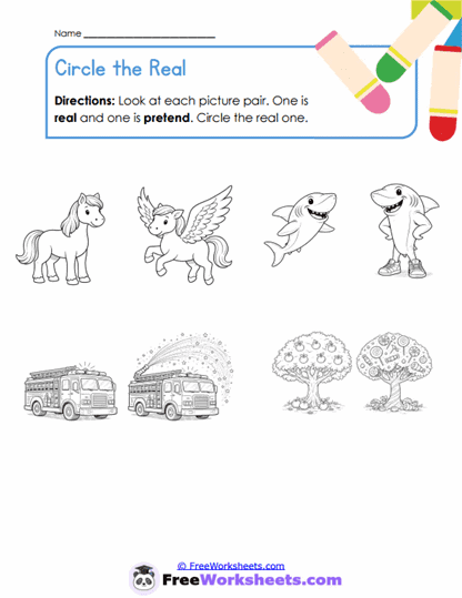 Circle Truths Worksheet
