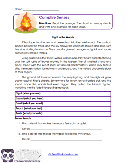 Campfire Senses Worksheet