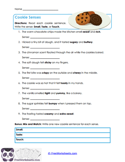 Cookie Senses Worksheet