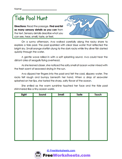 Tide Pool Hunt Worksheet