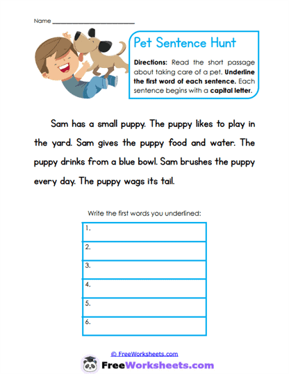 Pet Beginnings Worksheet