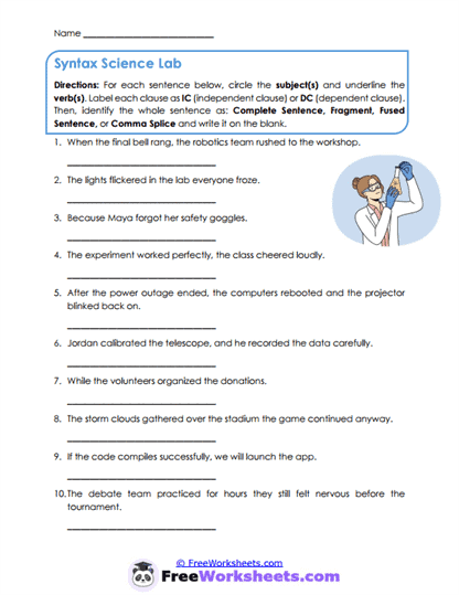 Sentence Detective Worksheet